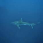 今日の曽根も好調です✨