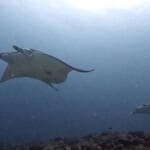 ヨナラウィークスタートです🔥🔥🔥